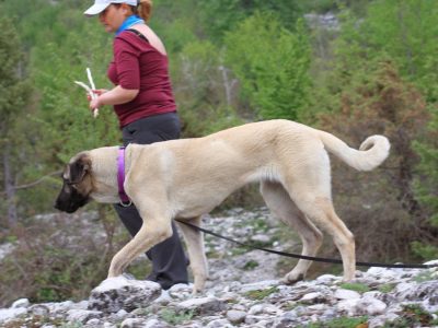 Dolina Thethi, raj na Zemlji