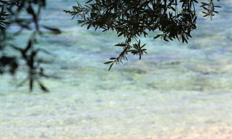 Obale severozahodne Grcije