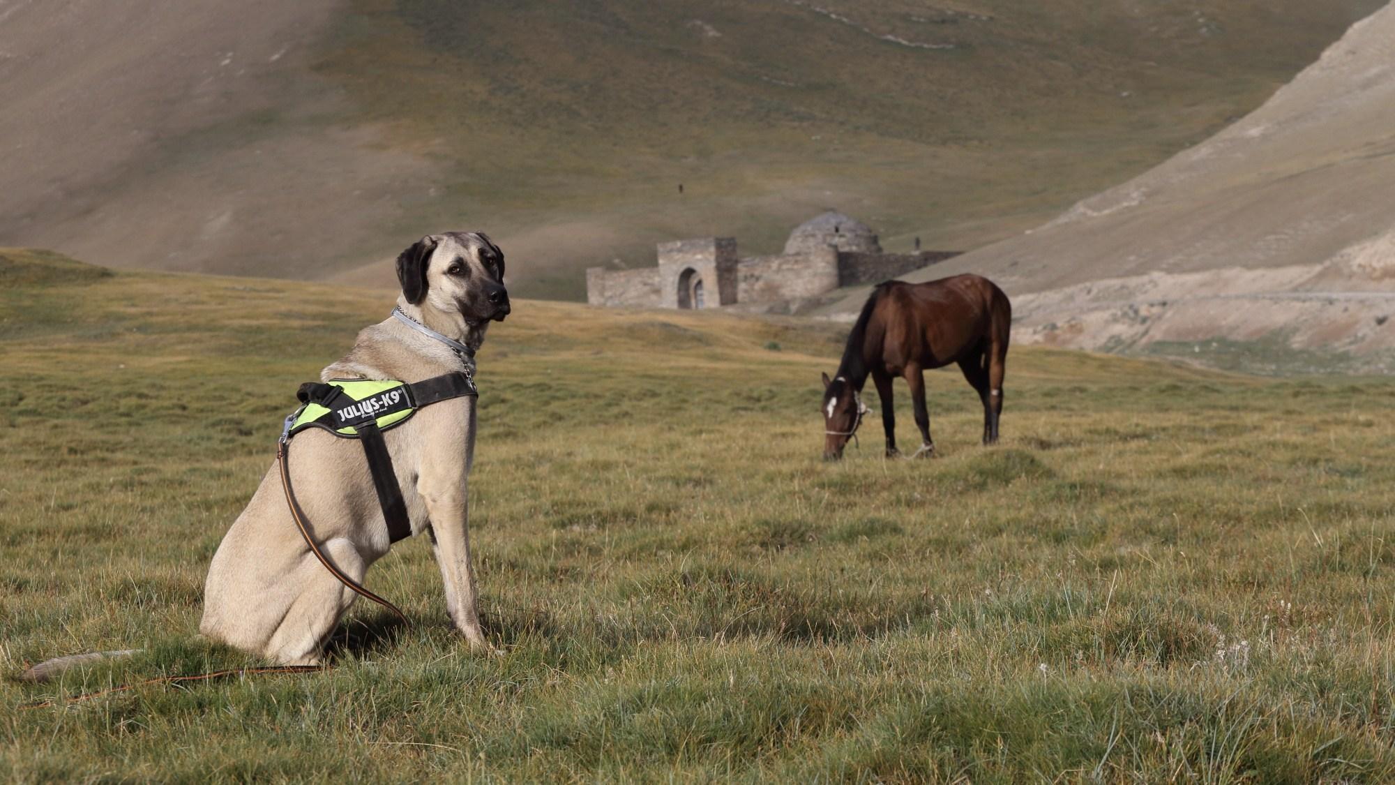 Kirgizija, Tash Rabat