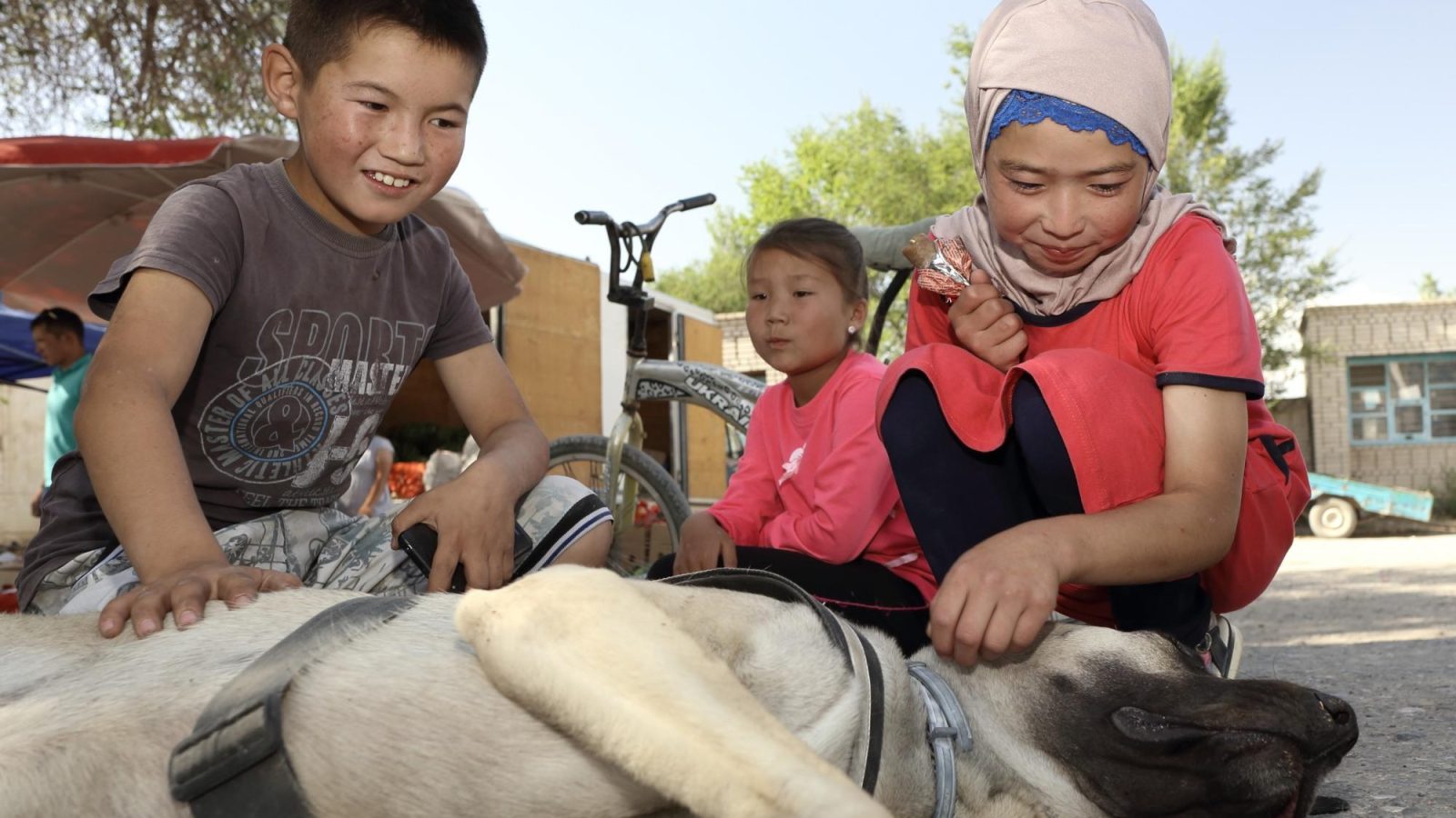 Neznost, otrok in Kangal Kirgizija, osrednji del, Baetov