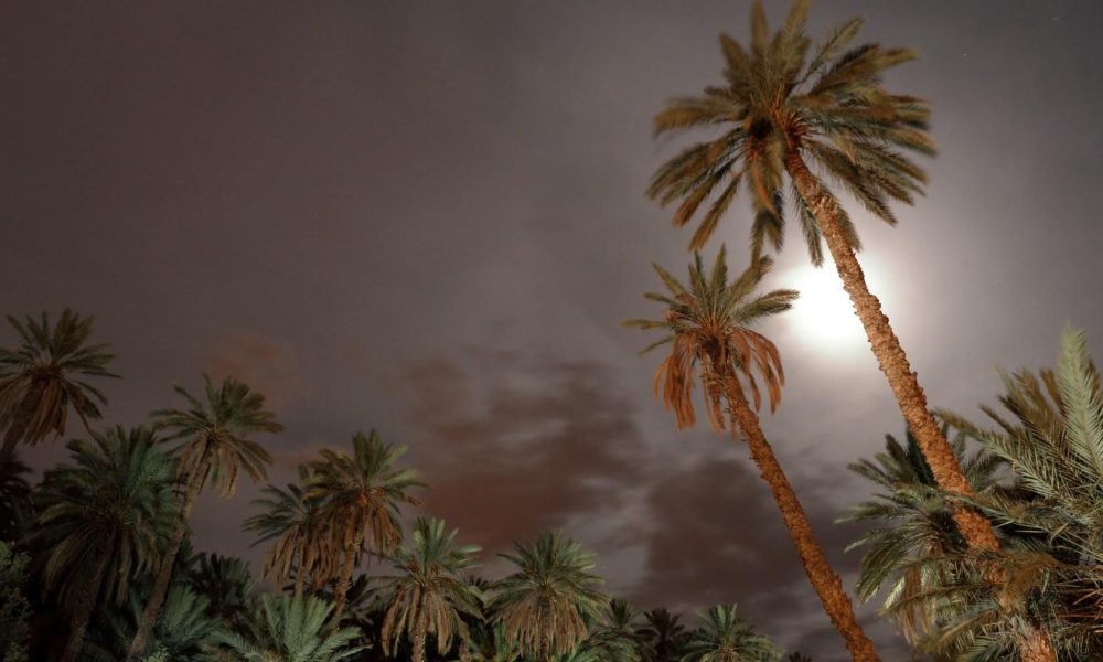 Noč v oazi Pravljice še živijo