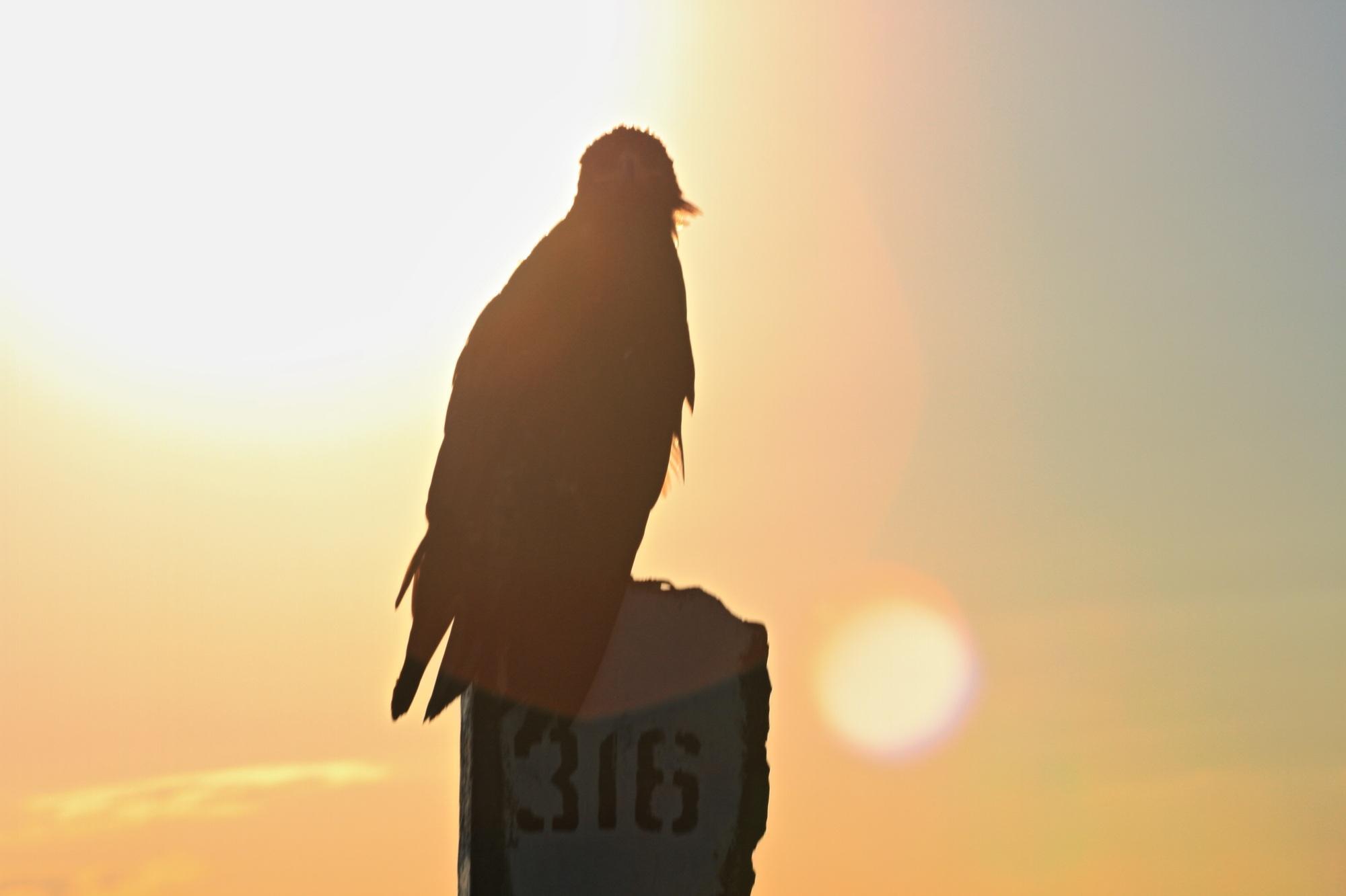 Zato se splaca! Proti jugu Kazahstana.