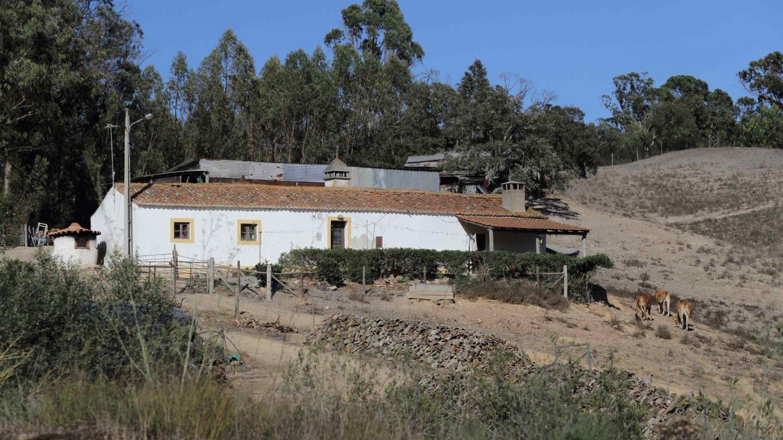 ap_2021_P_e_0013 ap_2021_P_e_0013