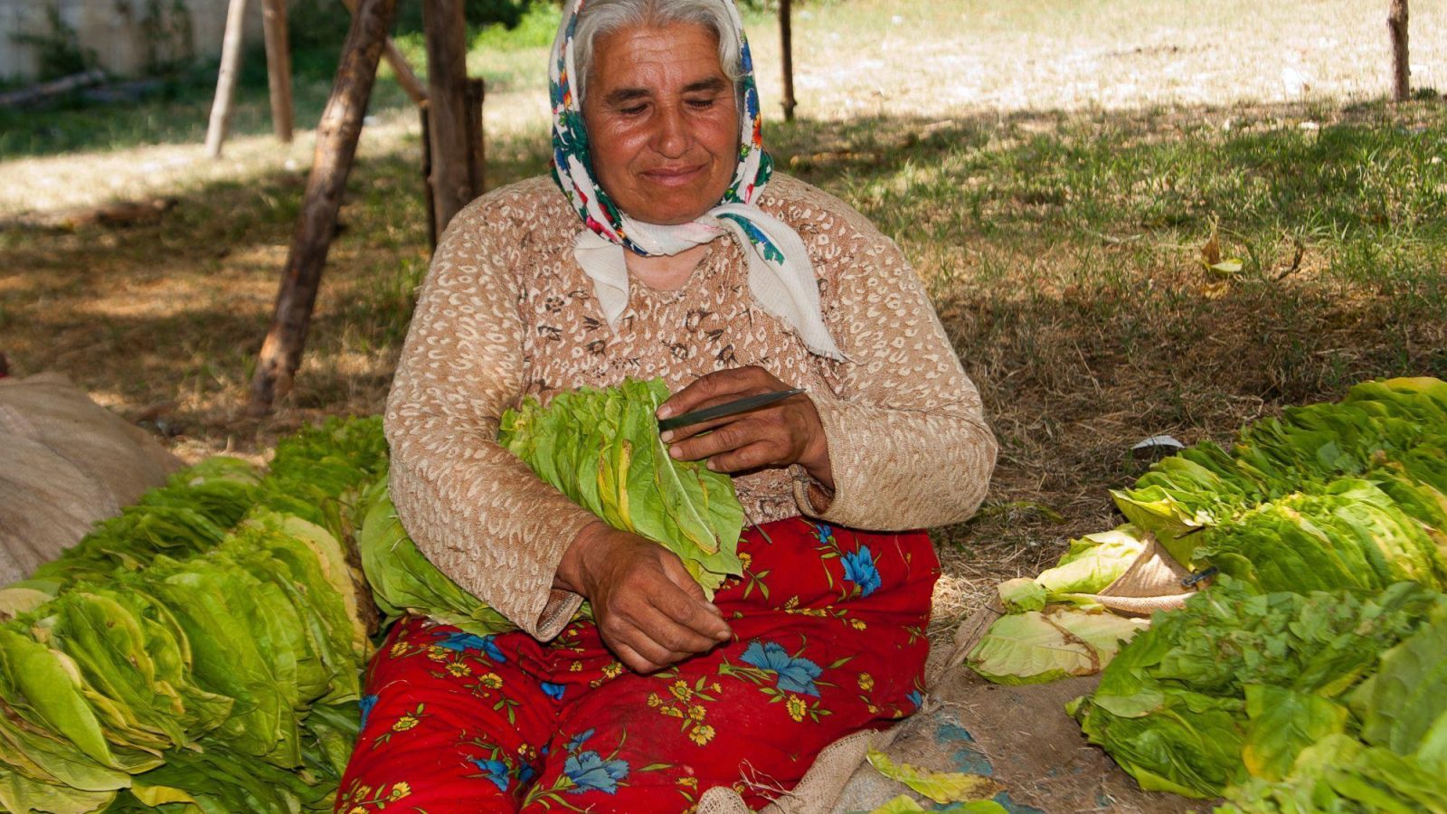 ap_BALKAN_Rodopi_2011_0160