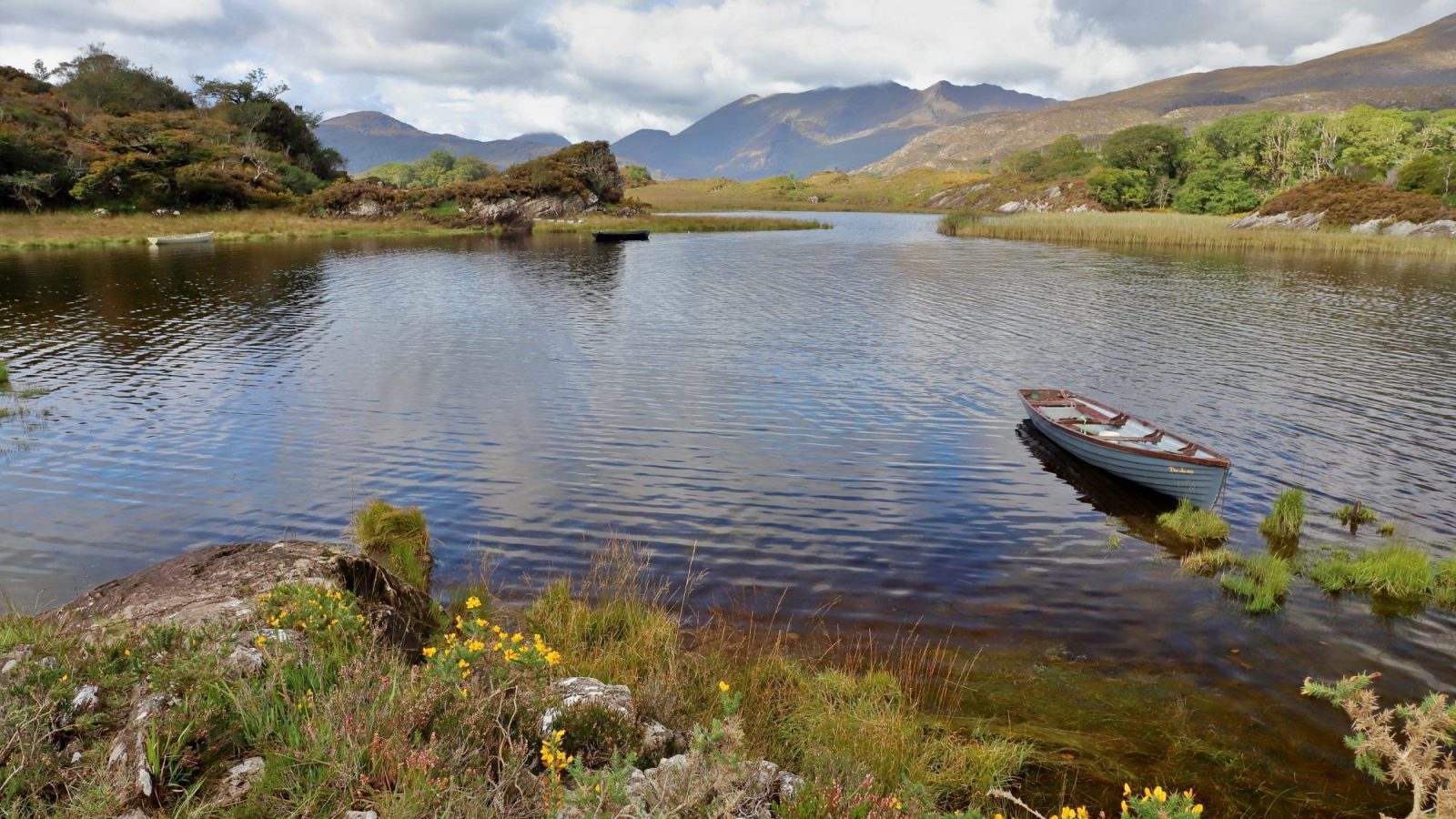 From the Causeway Coast and the Wild Atlantic Way to the Sunny South East