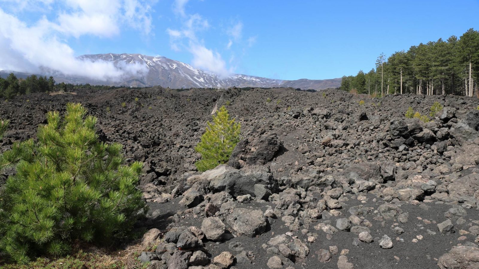 From Naples to Sicily and back through Apulia to the home.Od Neaplja do Sicilije in nazaj skozi Apulijo proti domu.